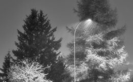 011 - schneesturm in einer winternacht